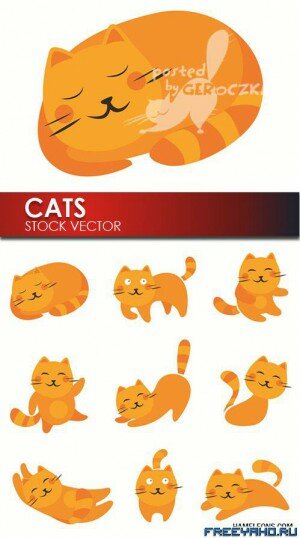    -  | Orange vector cats