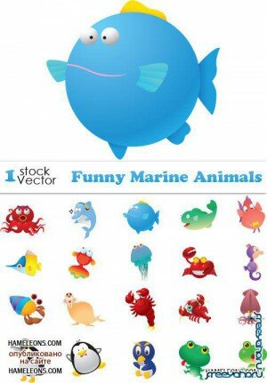   -    | Funny Marine Animals