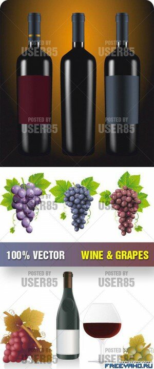 ,       | Stock Vector - Wine & Grapes
