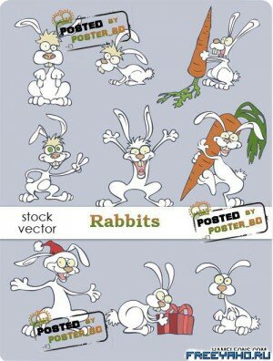     -  2011  | Vector funny rabbits