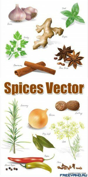     | Vector Spices Clipart
