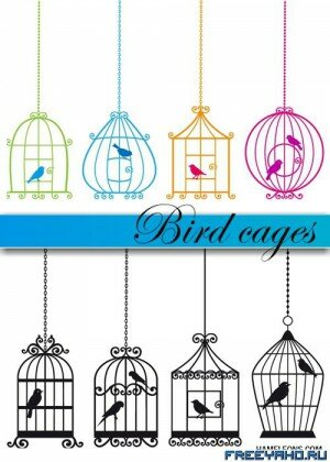     | Bird & cage vector 2