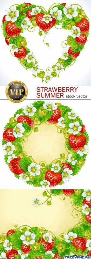    | Strawberry summer vector