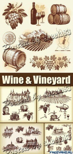    -   | Wine and Vineyard