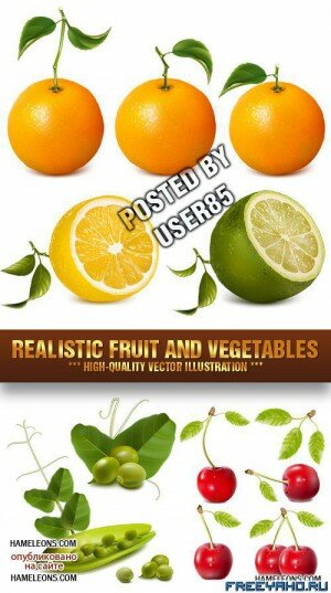      | Fruit and Vegetables Vector