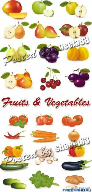     | Fruits and Vegetables Vector