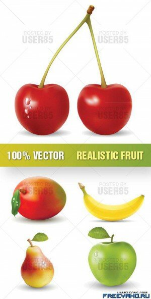     | Vector fruits & berry