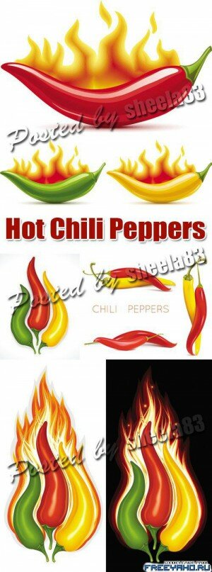    -   | Hot Chili Peppers Vector