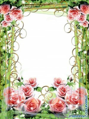 Frame - Pink Roses