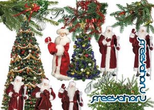 Новогодний клипарт - Дед Мороз, елки, хвойные ветки