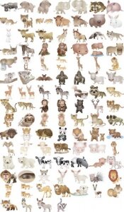 Сборник векторных клипартов - Забавные животные