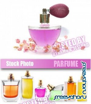   -   | Parfume