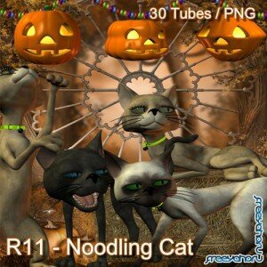 R11 - Noodling Cat