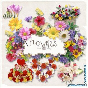 Scrap-kit - Summer Flowers