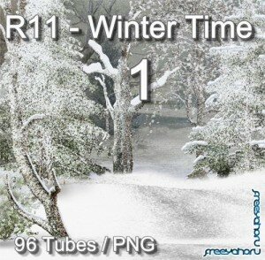 R11 - Winter Time 1