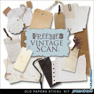 Scrap-kit - Old Paper Sticks