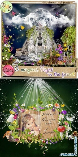  Scrap kit A magical night in the forest