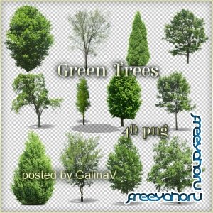Зеленые деревья - клипарт в PNG