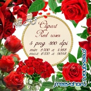 Clipart red roses 2 -    2 PNG