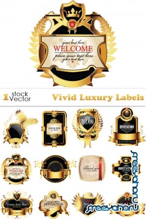 Vivid Luxury Labels Vector