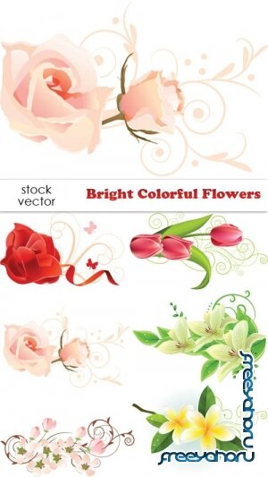   - Bright Colorful Flowers