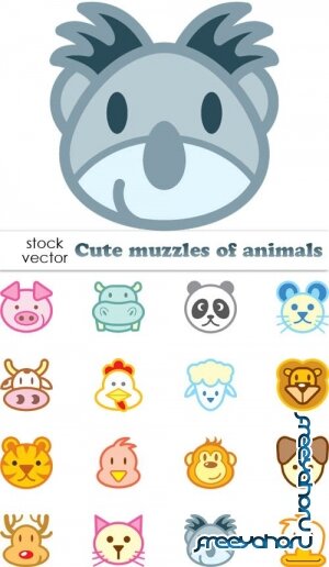   - Cute muzzles of animals