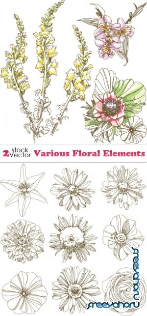 Vectors - Various Floral Elements