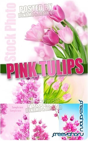 Розовые тюльпаны - Растровый клипарт