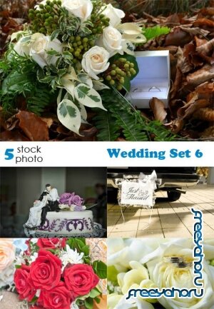   - Wedding Set 6