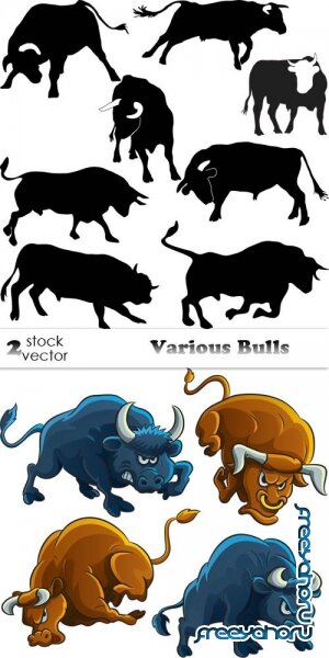   - Various Bulls