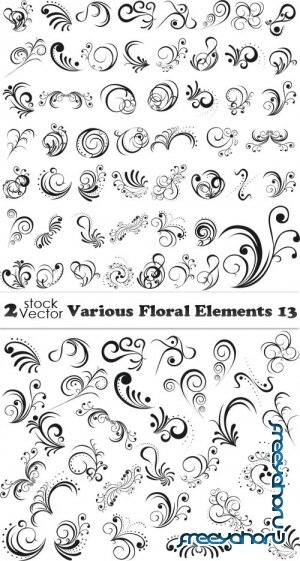 Vectors - Various Floral Elements 13