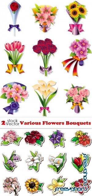 Vectors - Various Flowers Bouquets