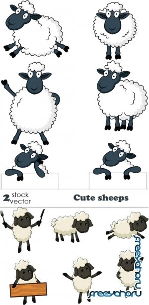   - Cute sheeps