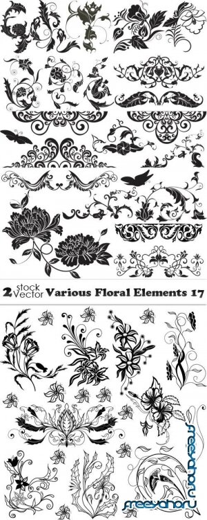 Vectors - Various Floral Elements 17