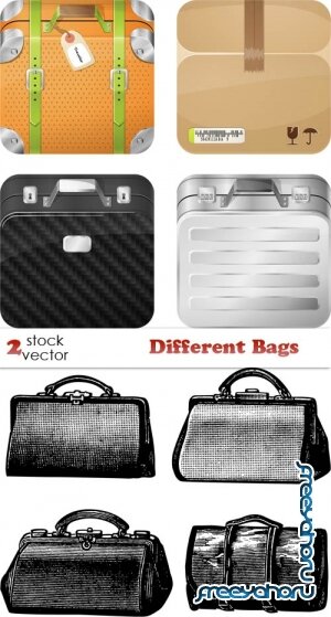   - Different Bags