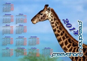  Красивый календарь 2014 года - Жираф 