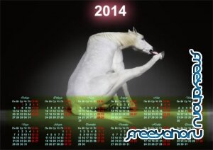  Красивый календарь - Смешная белая лошадка 