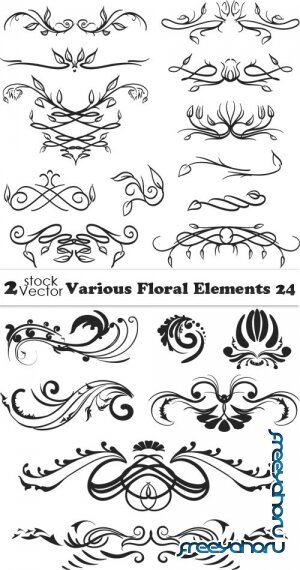 Vectors - Various Floral Elements 24