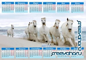  Настенный календарь - Прогулка лошадей по пляжу 