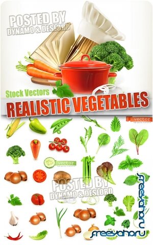 Реалистичные овощи - Векторный клипарт