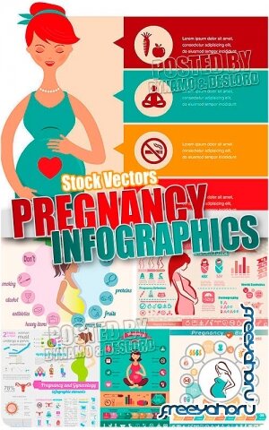 Беременность инфографика - Векторный клипарт