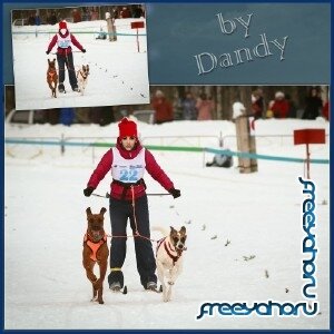 Шаблон для фотошопа - На лыжах за собаками
