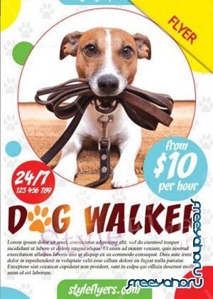 Dog Walker V7 PSD Flyer Template